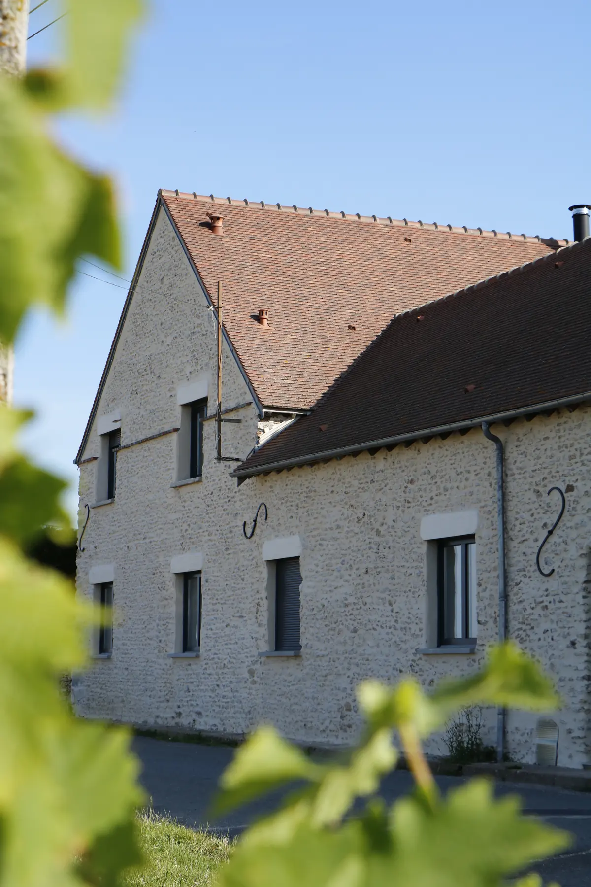 Façade en pierre du corps de ferme, encadrée de vigne